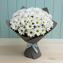 Букет цветов из:  Хризантемы в Кошехабль