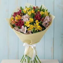 Букет цветов из:  Альстромерии в Кошехабль