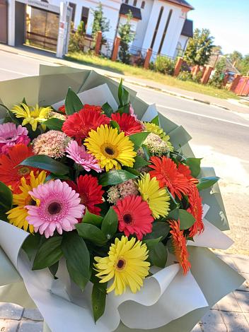 Букет цветов из: Герберы в Кошехабль